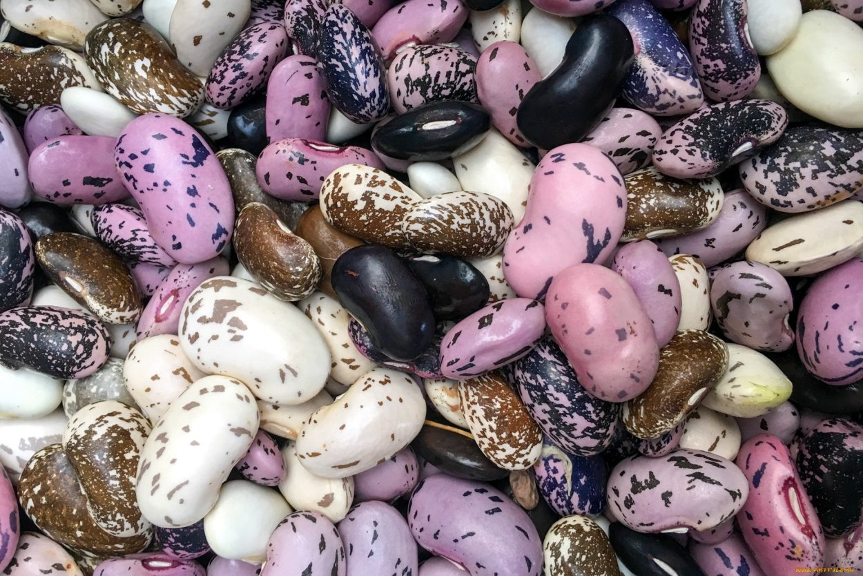 Горох и фасоль