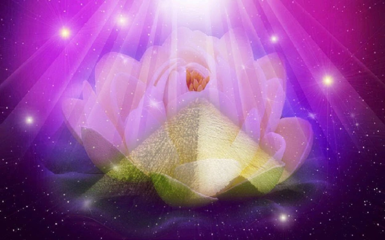 Божественный Лотос