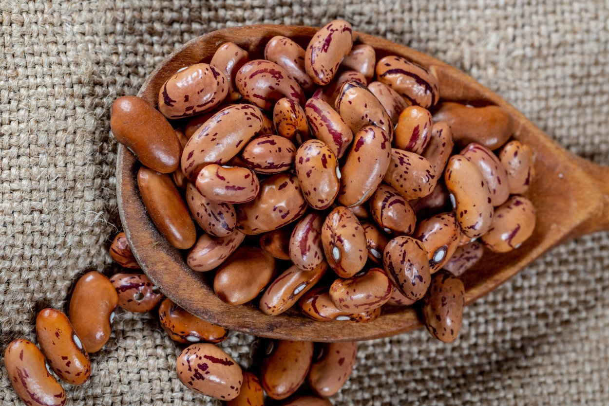 Дремоносные Бобы