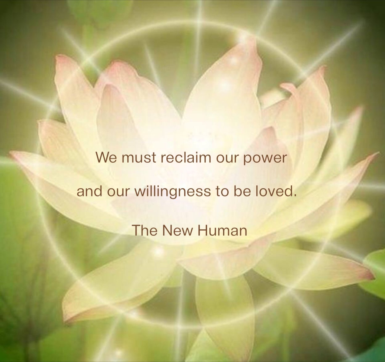 Пионовидные ранункулюсы