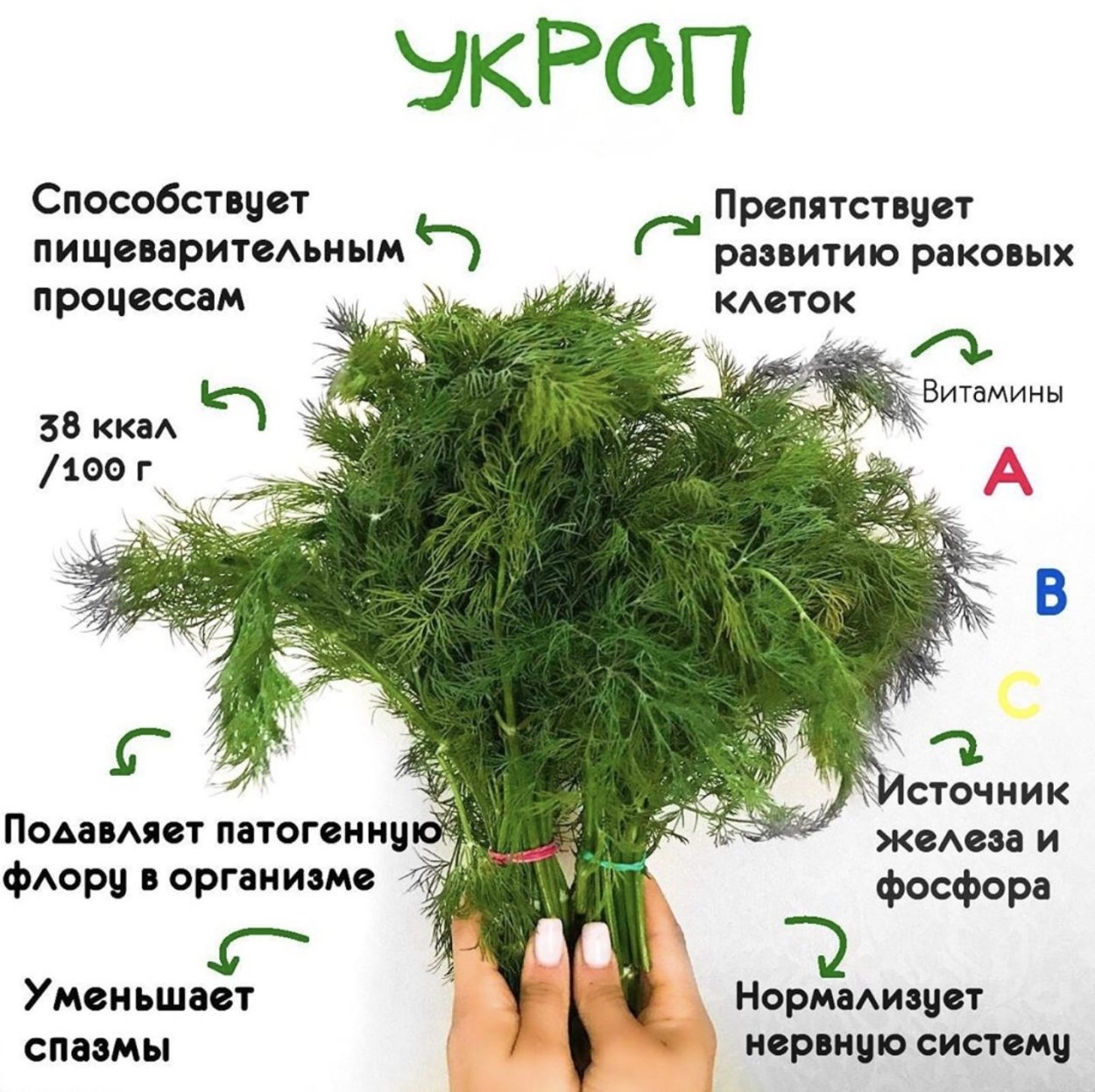 Самые полезные травы