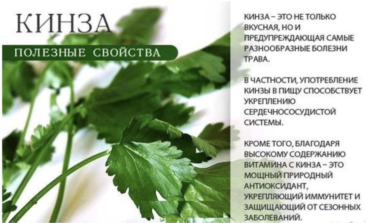 Горошек Мадрас микрозелень