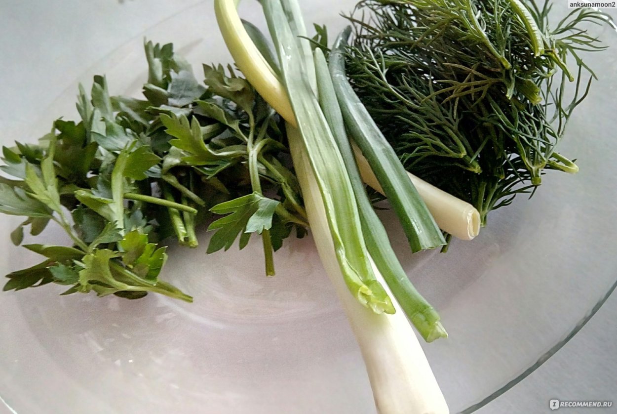 Строение укропа