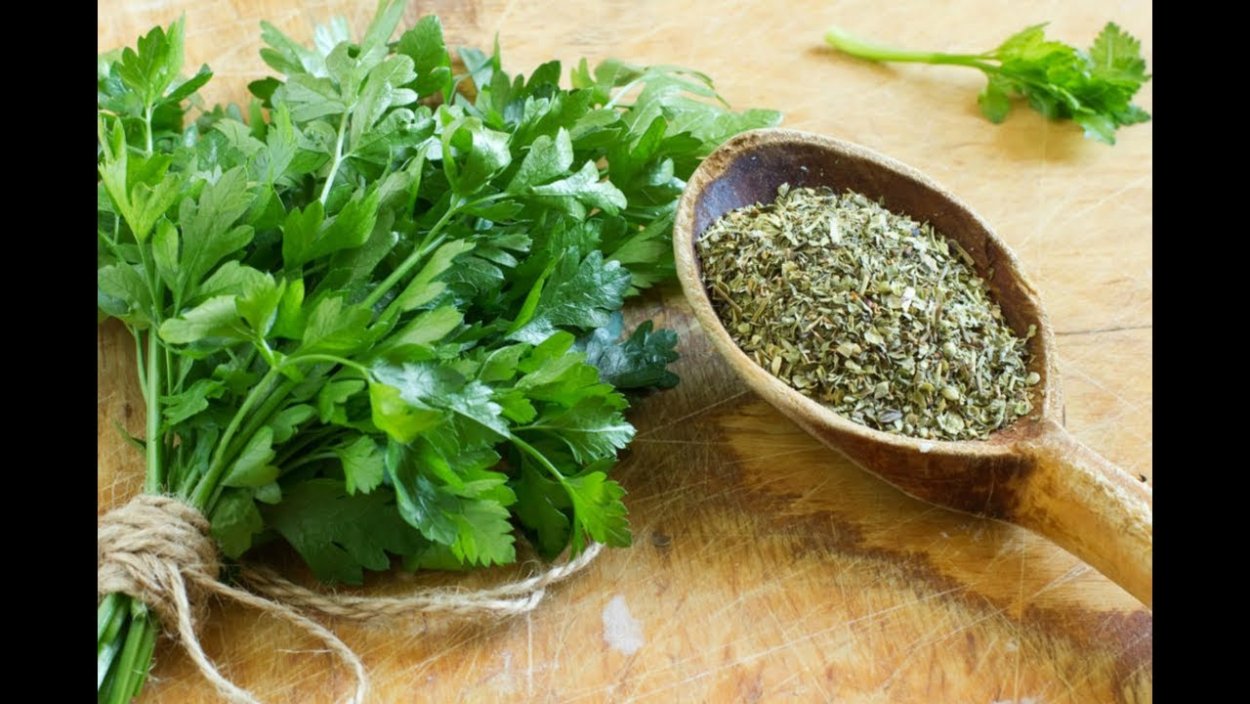 Укроп Аллигатор