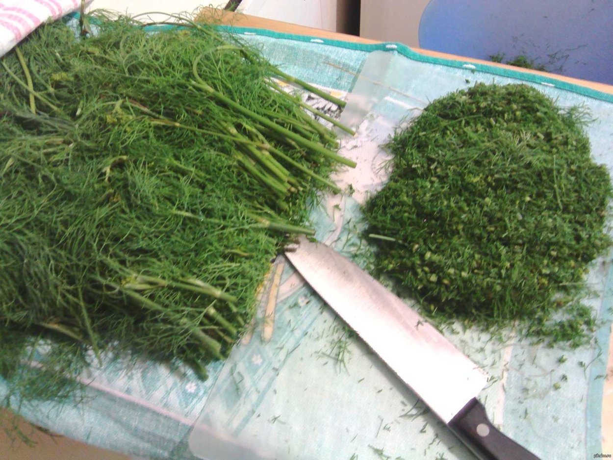 Полезная зелень