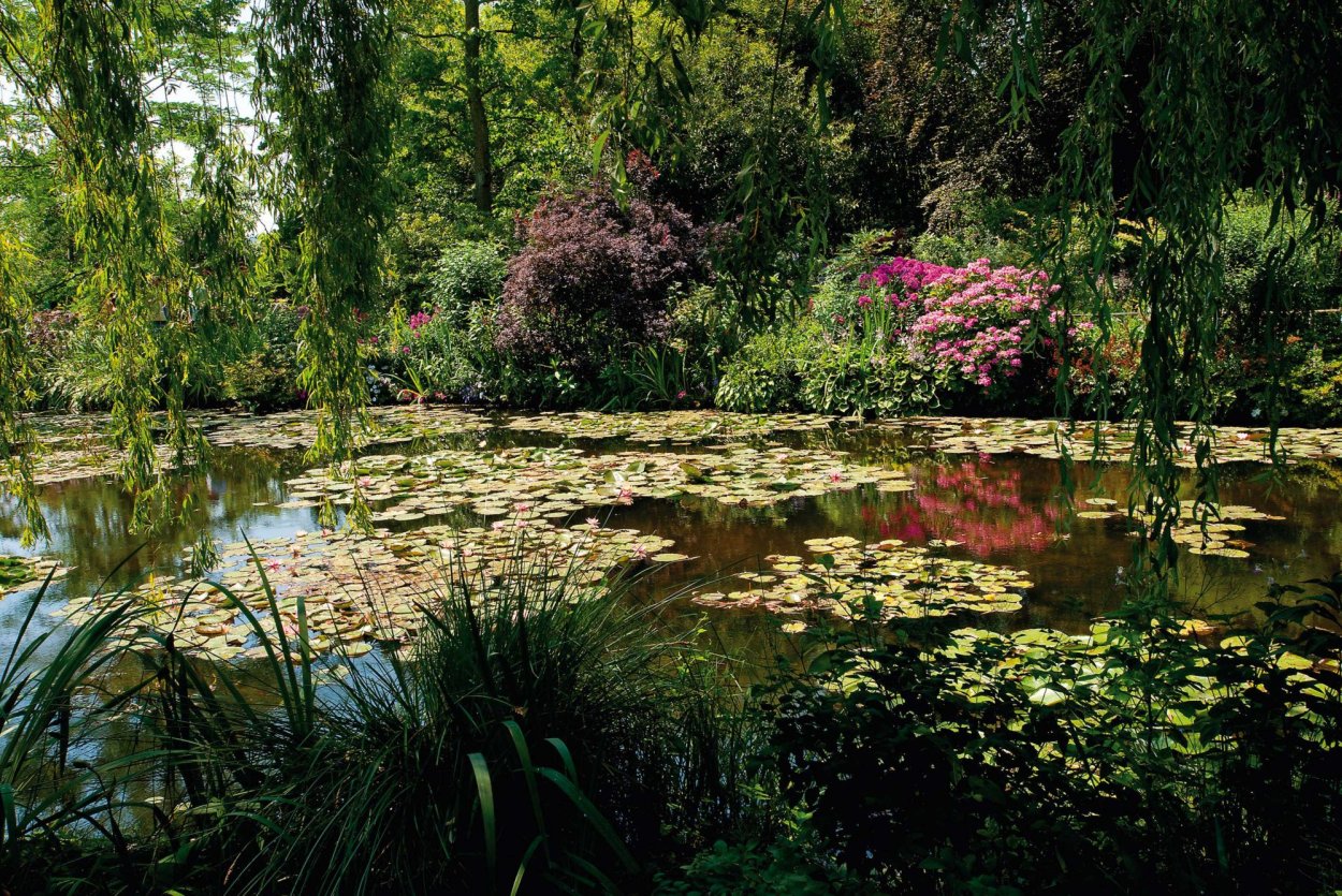 Сад Моне в Живерни