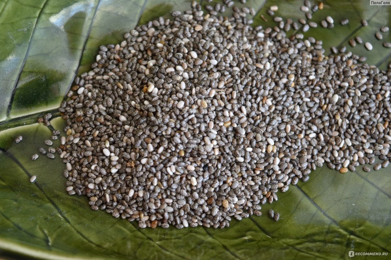 Испанский шалфей семена чиа