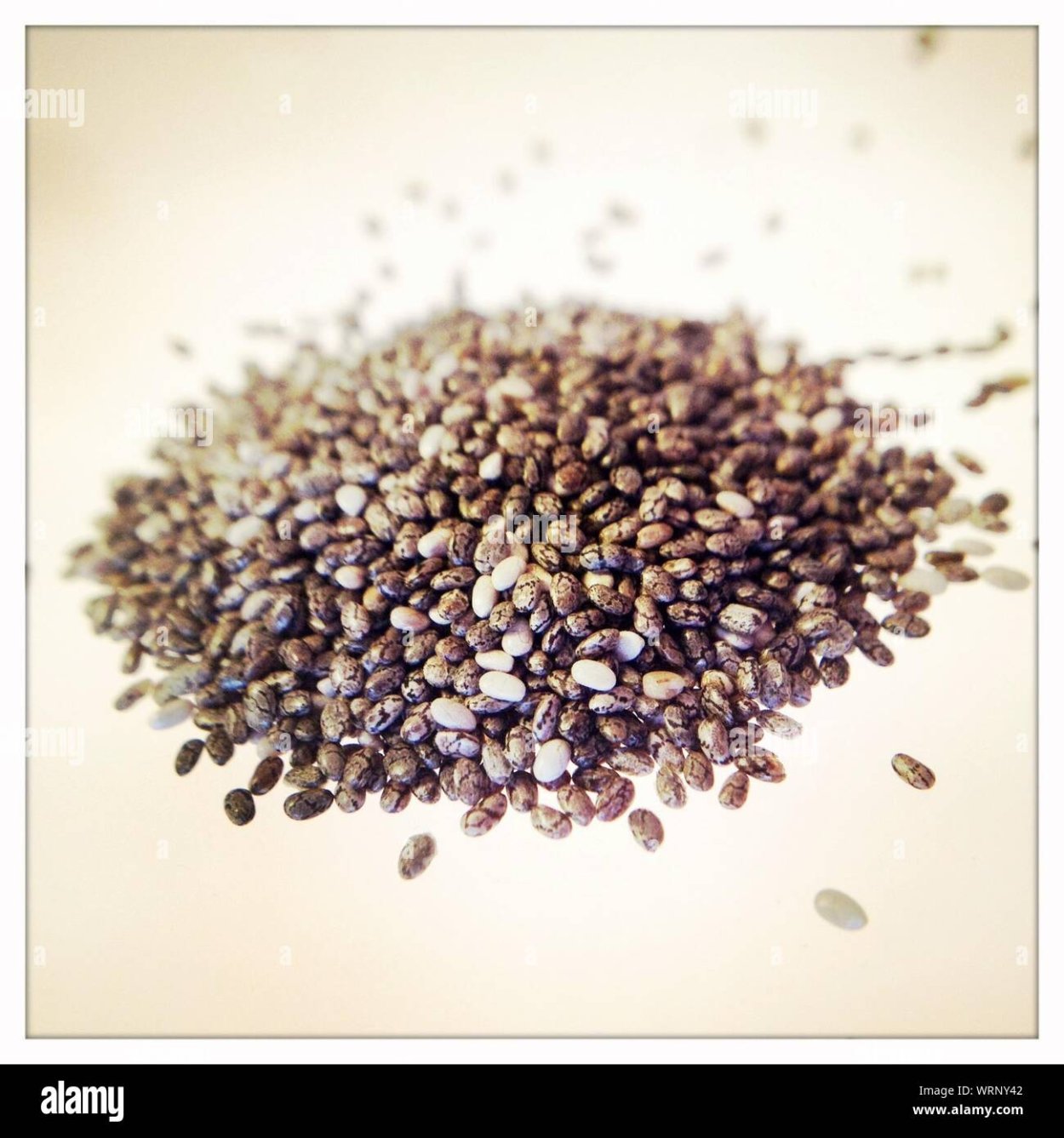 Семена чиа шалфей