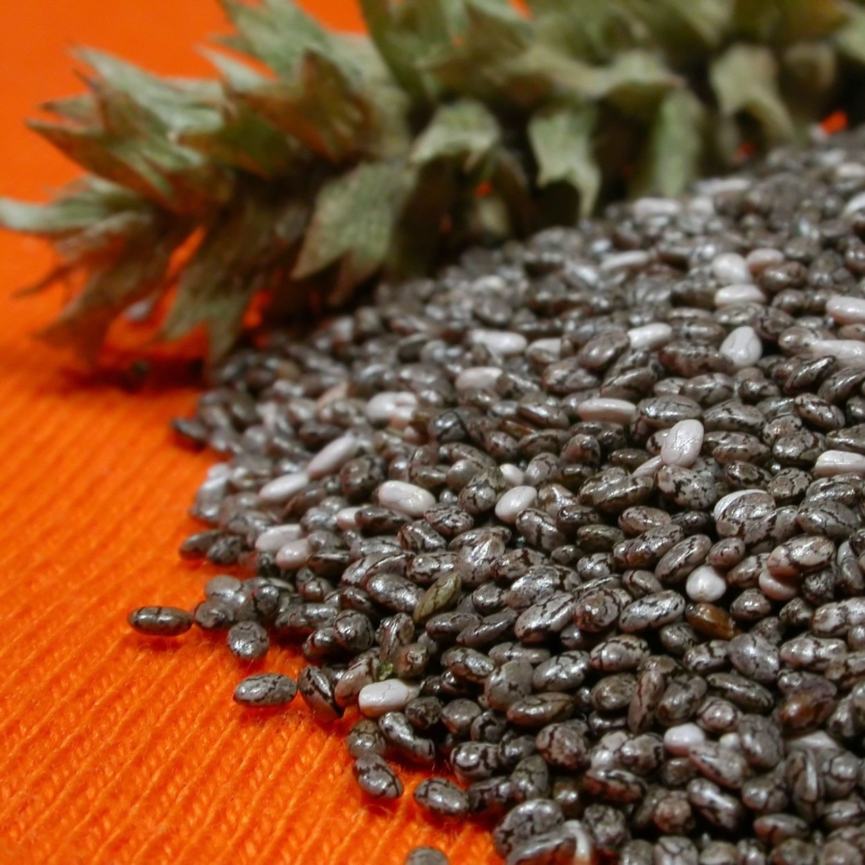 Семена чиа зеленые