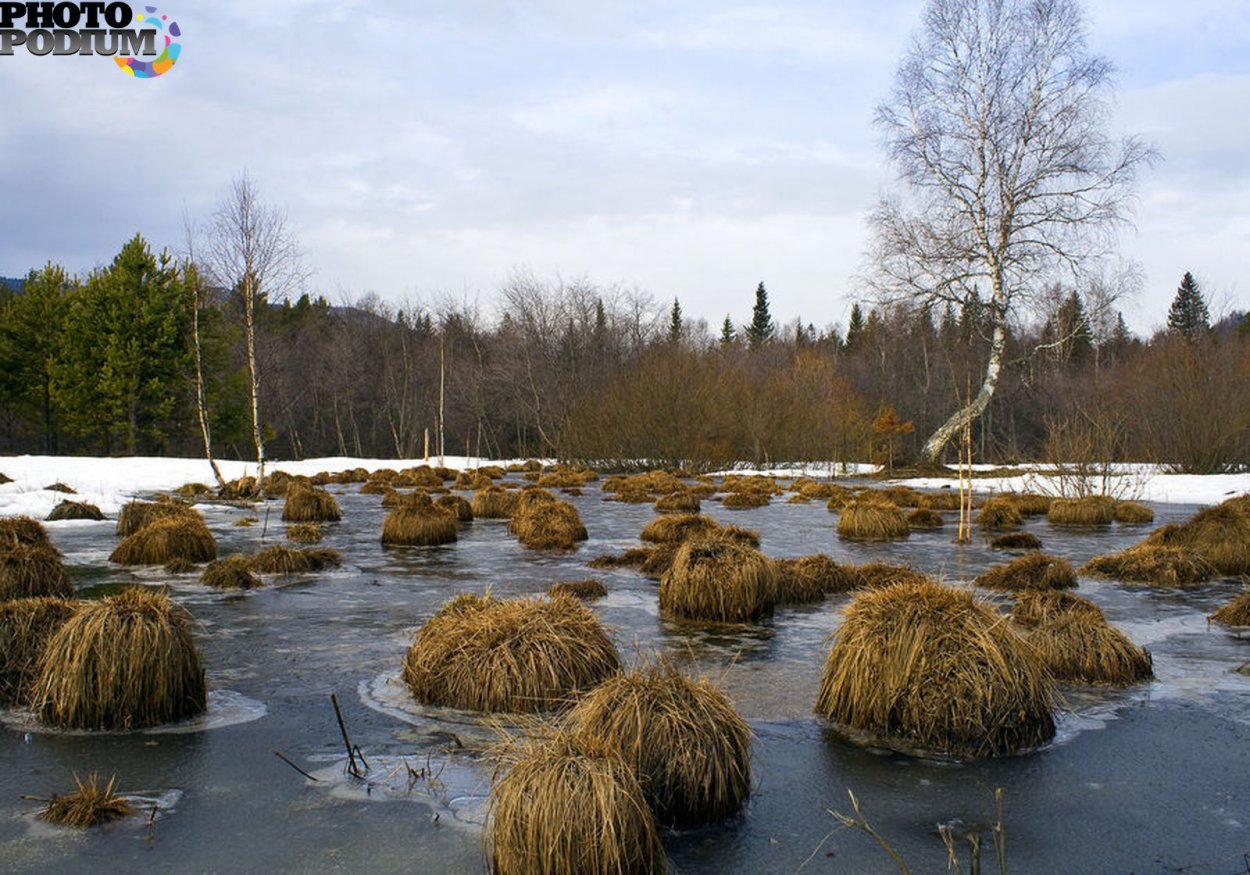 Дерновинные Кочки