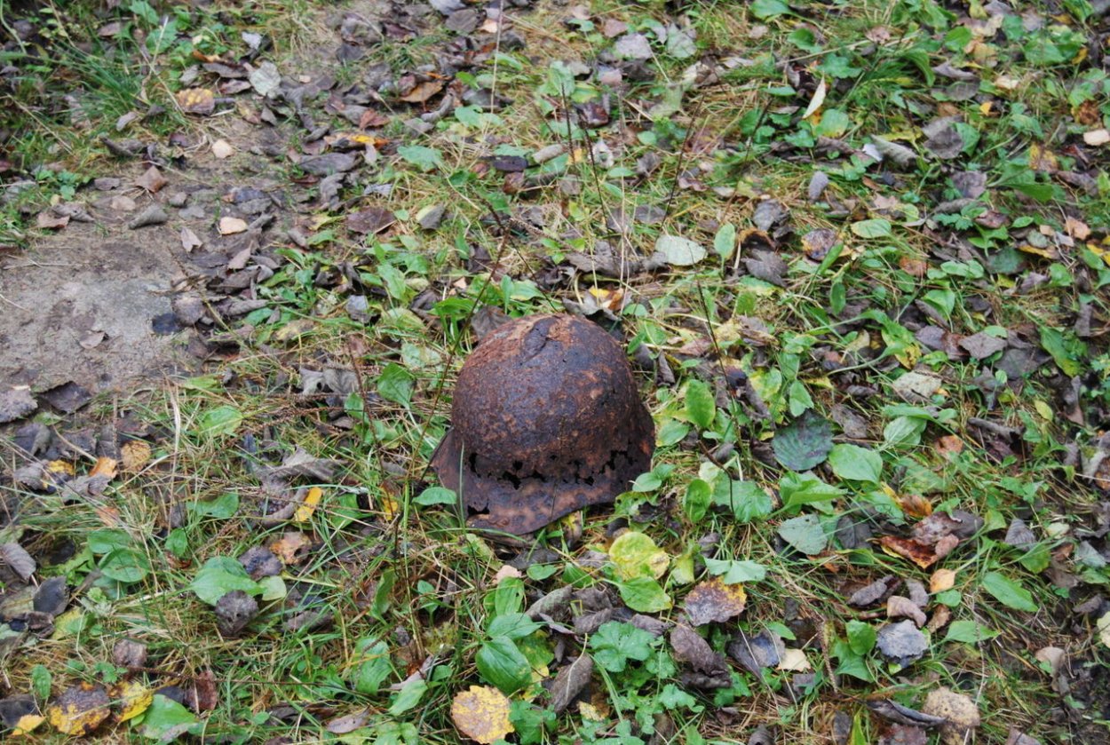 Кочкарное болото