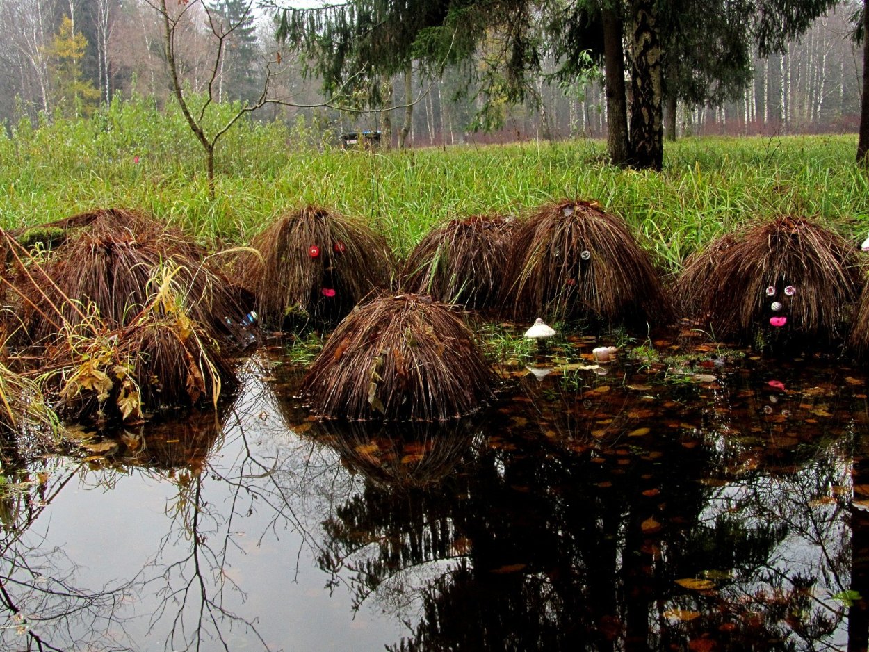 Кочкарное болото