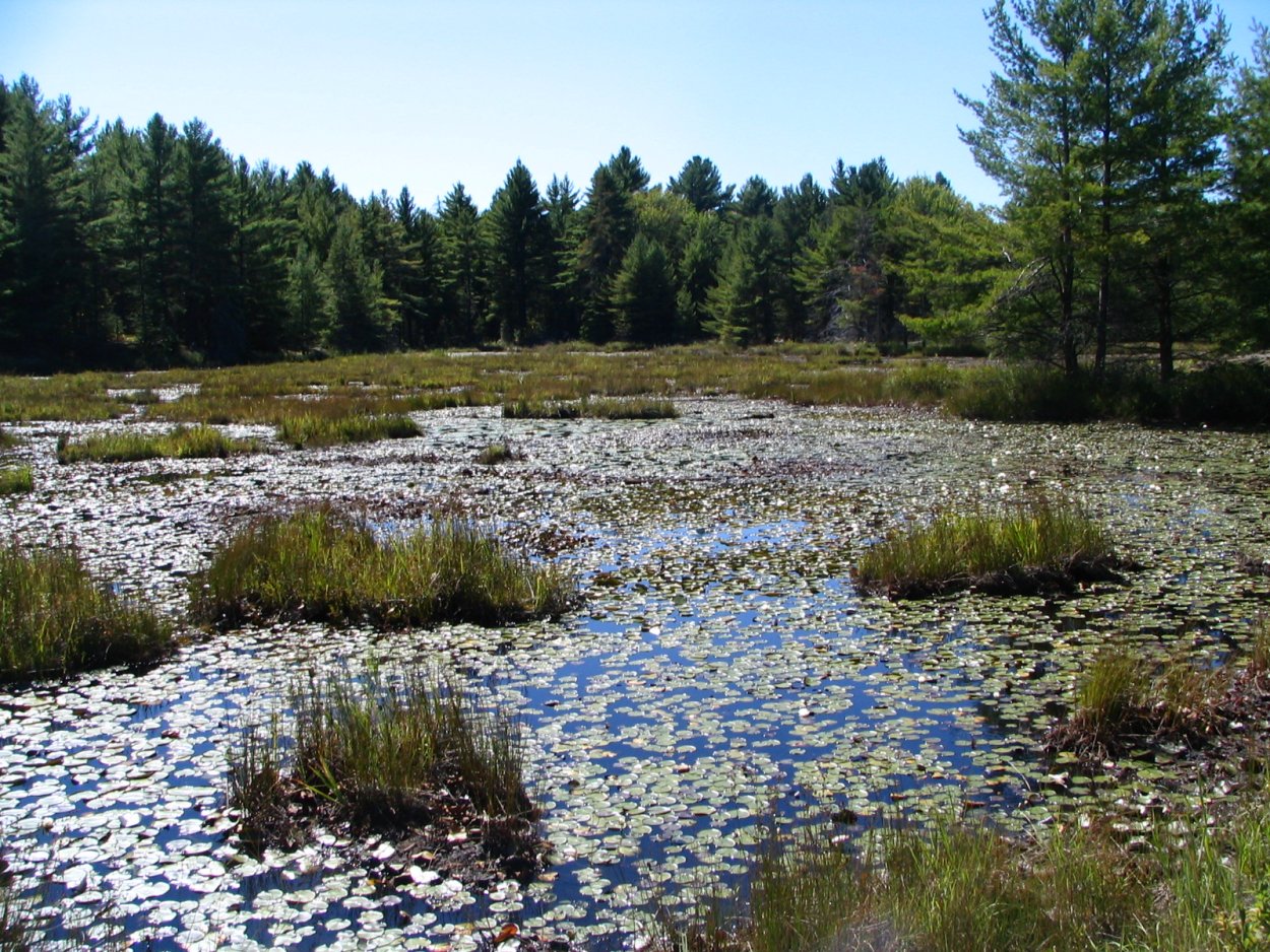 Газонное кресло из картона
