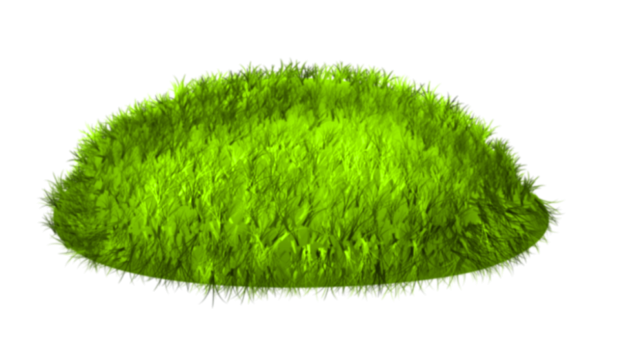 Бородавчатая Болотная кочка Тролль