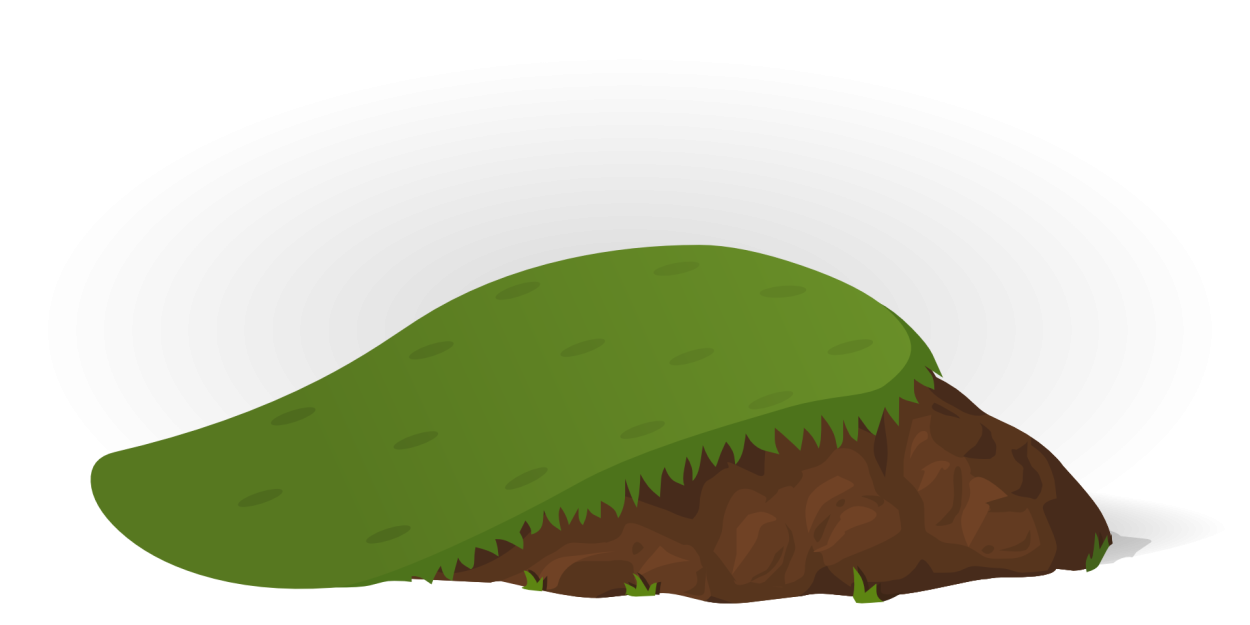 Цветок на кочке на болоте ранней весной