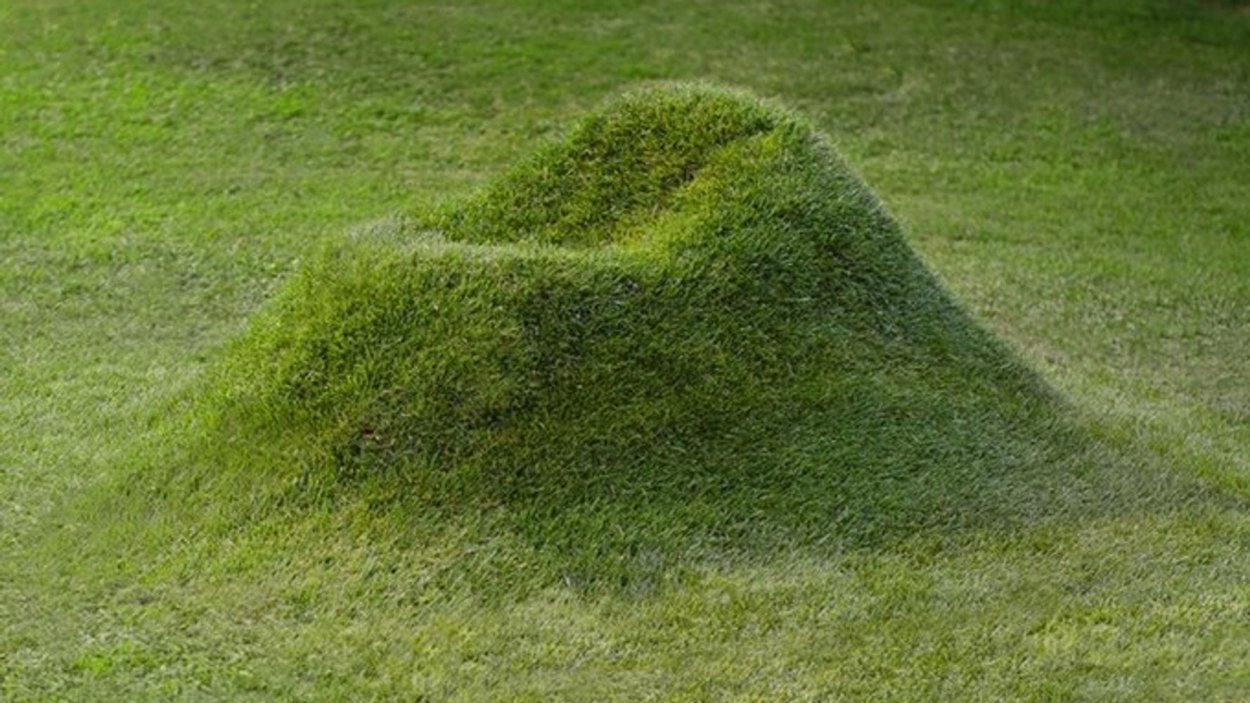 Кочка в лесу