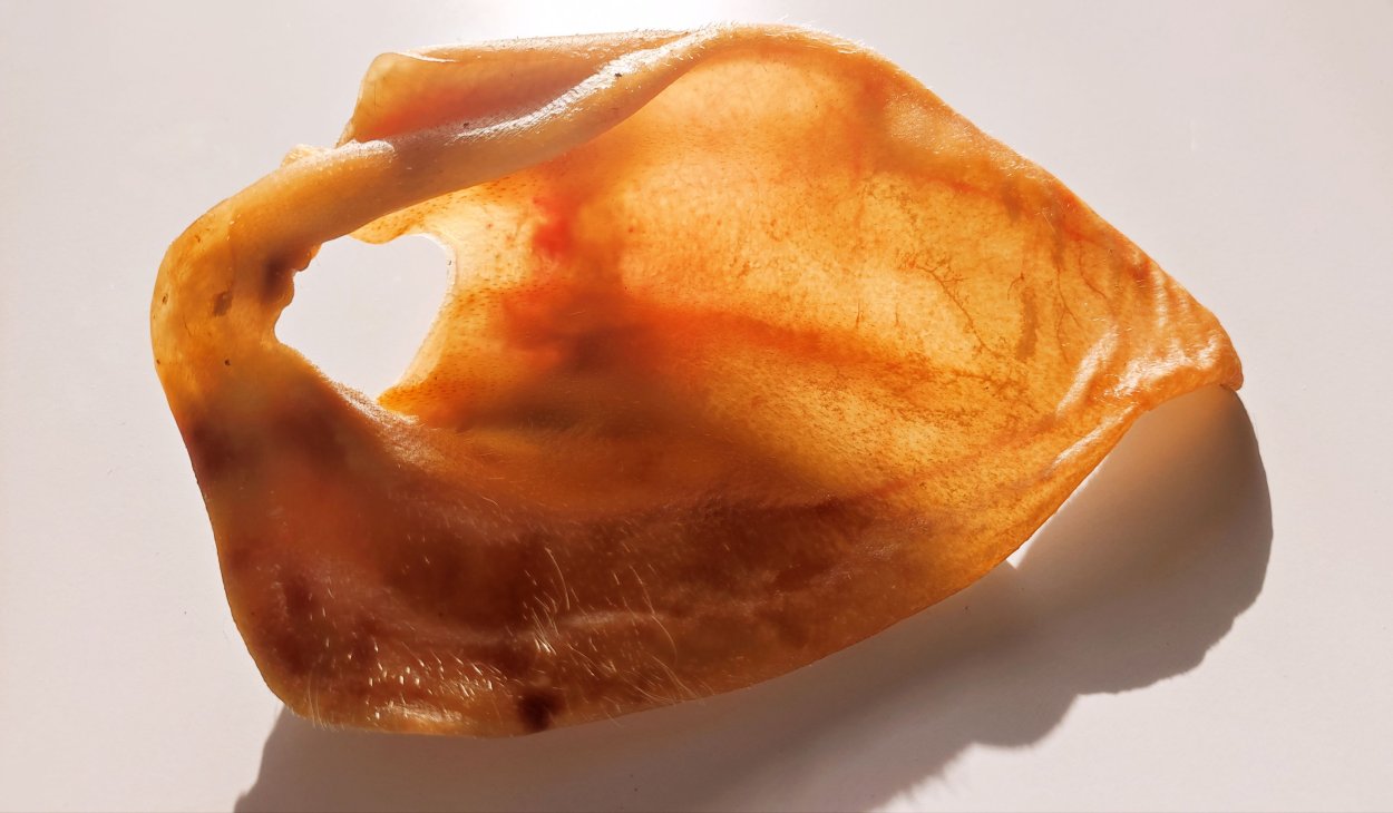 Свиные ушки копченые