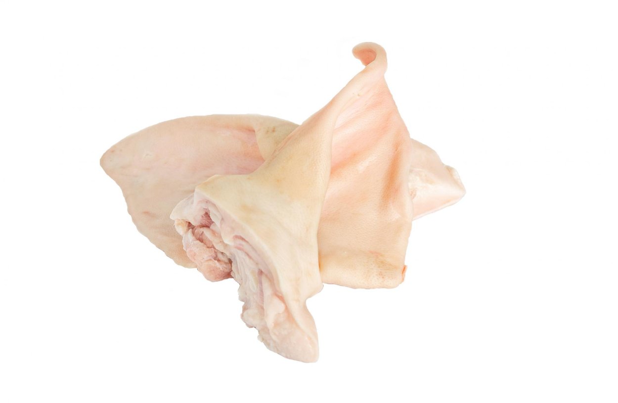 Гомфус булавовидный грибы