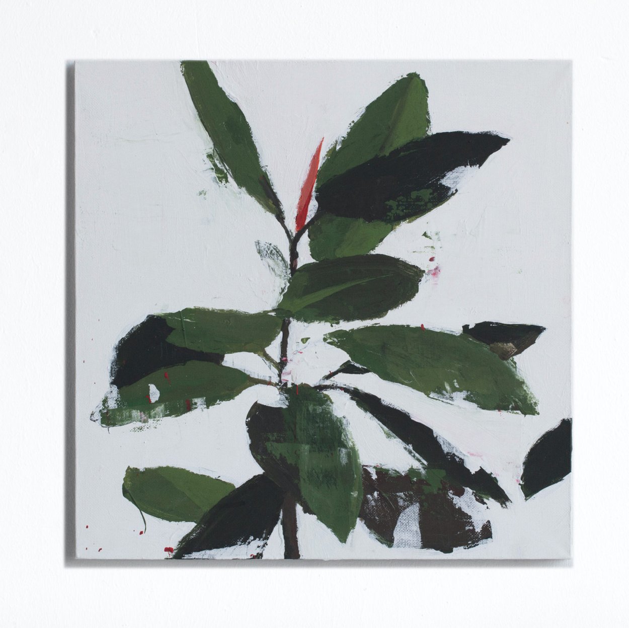 Фикус в картинах художников