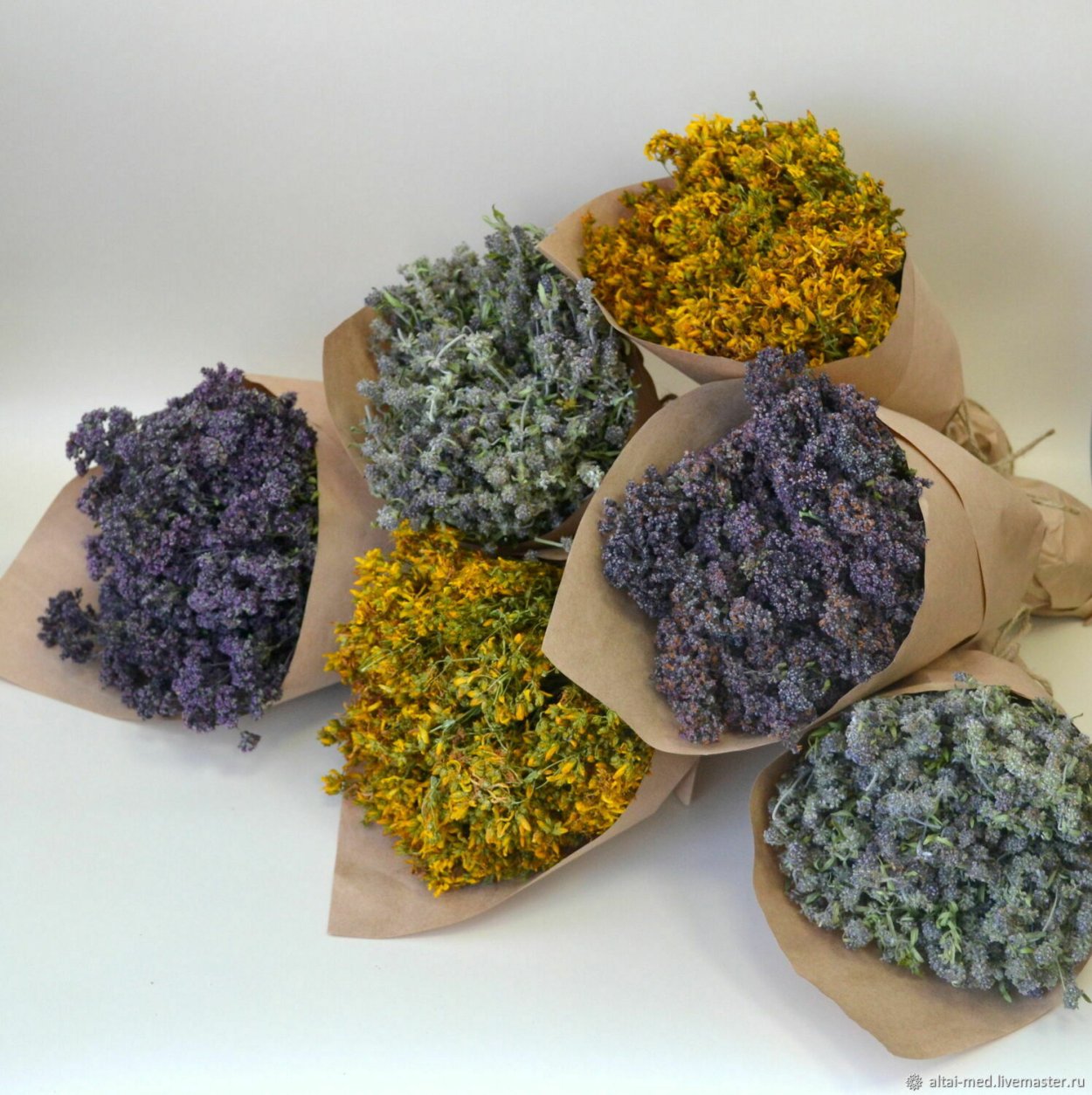 Зверобой трава