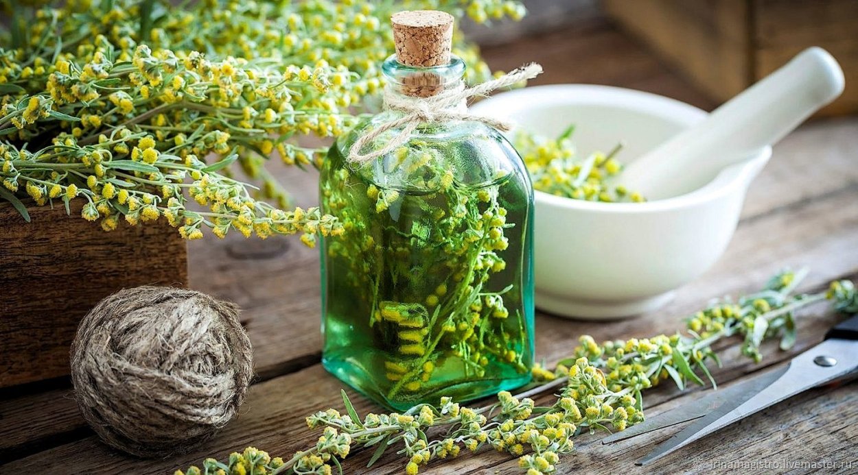 Полевые цветы которые пахнут медом