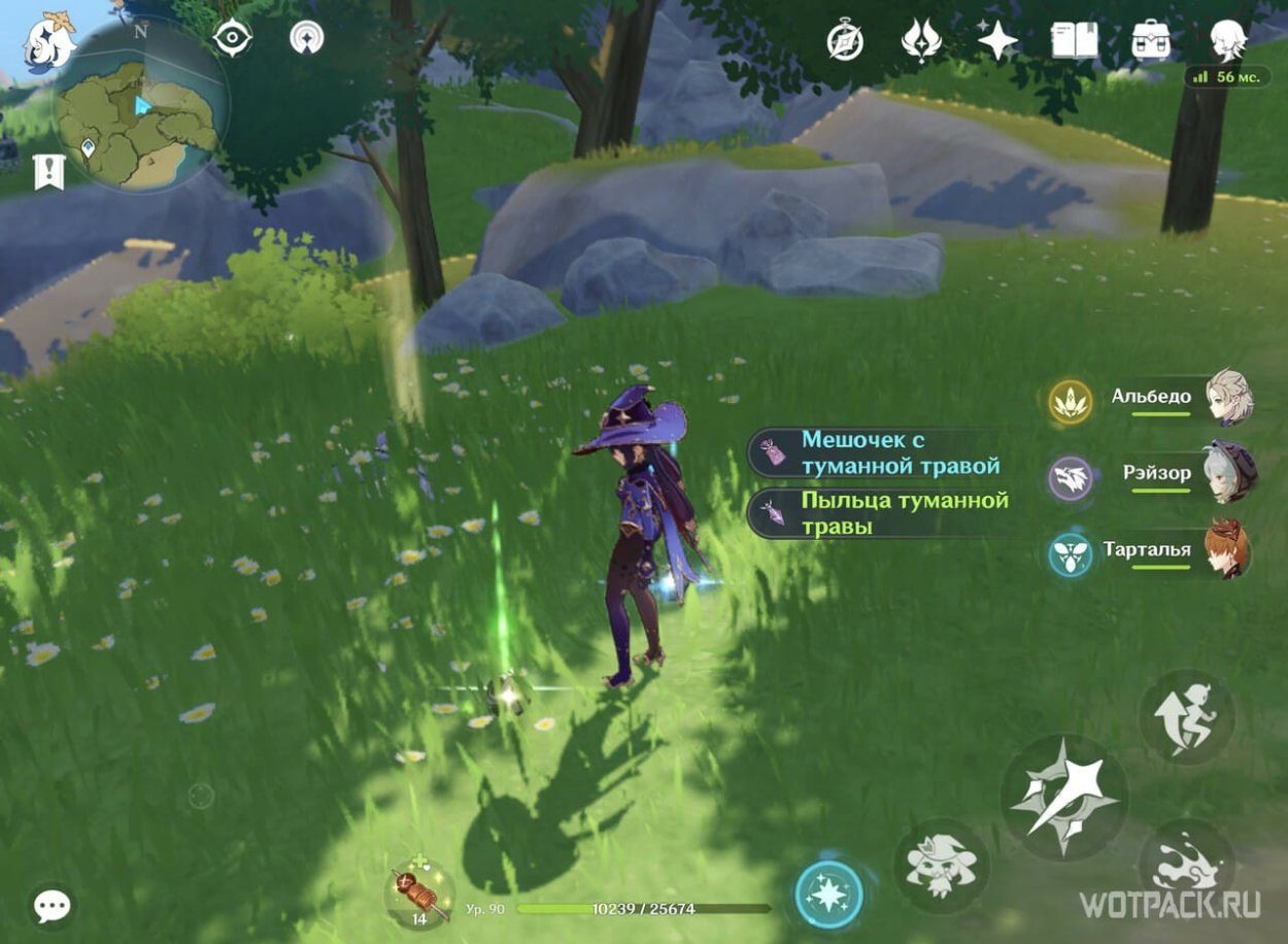 Пыльца амброзии под микроскопом