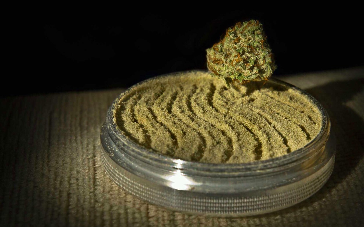 Пыльца благословенной пальмы