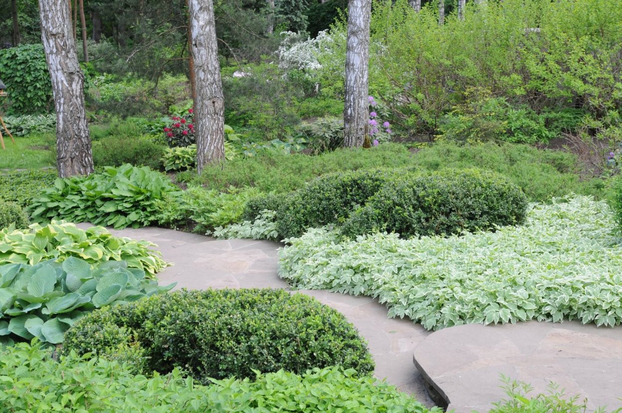 Колесник Владимир Затененный сад