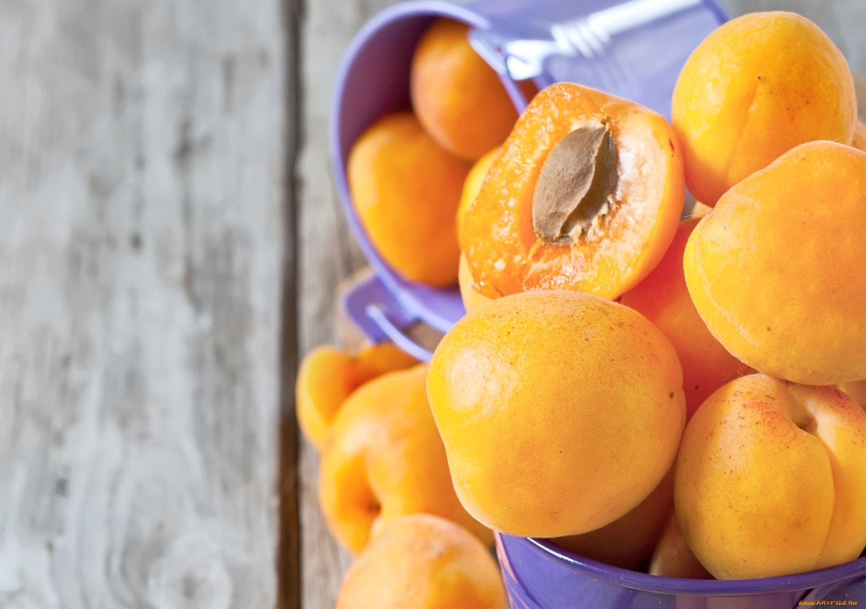 Слива персик абрикос