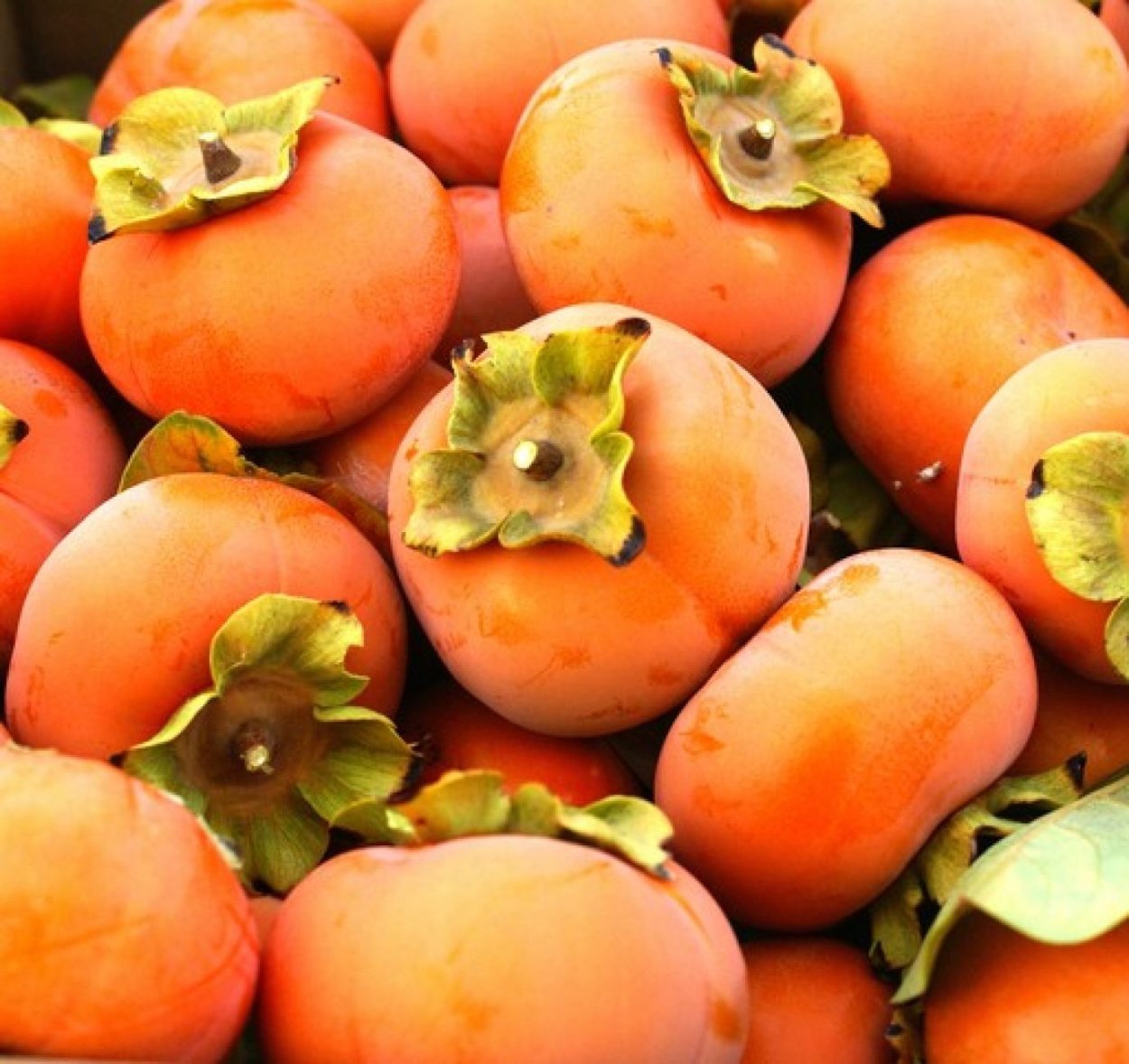 Хурма и слива