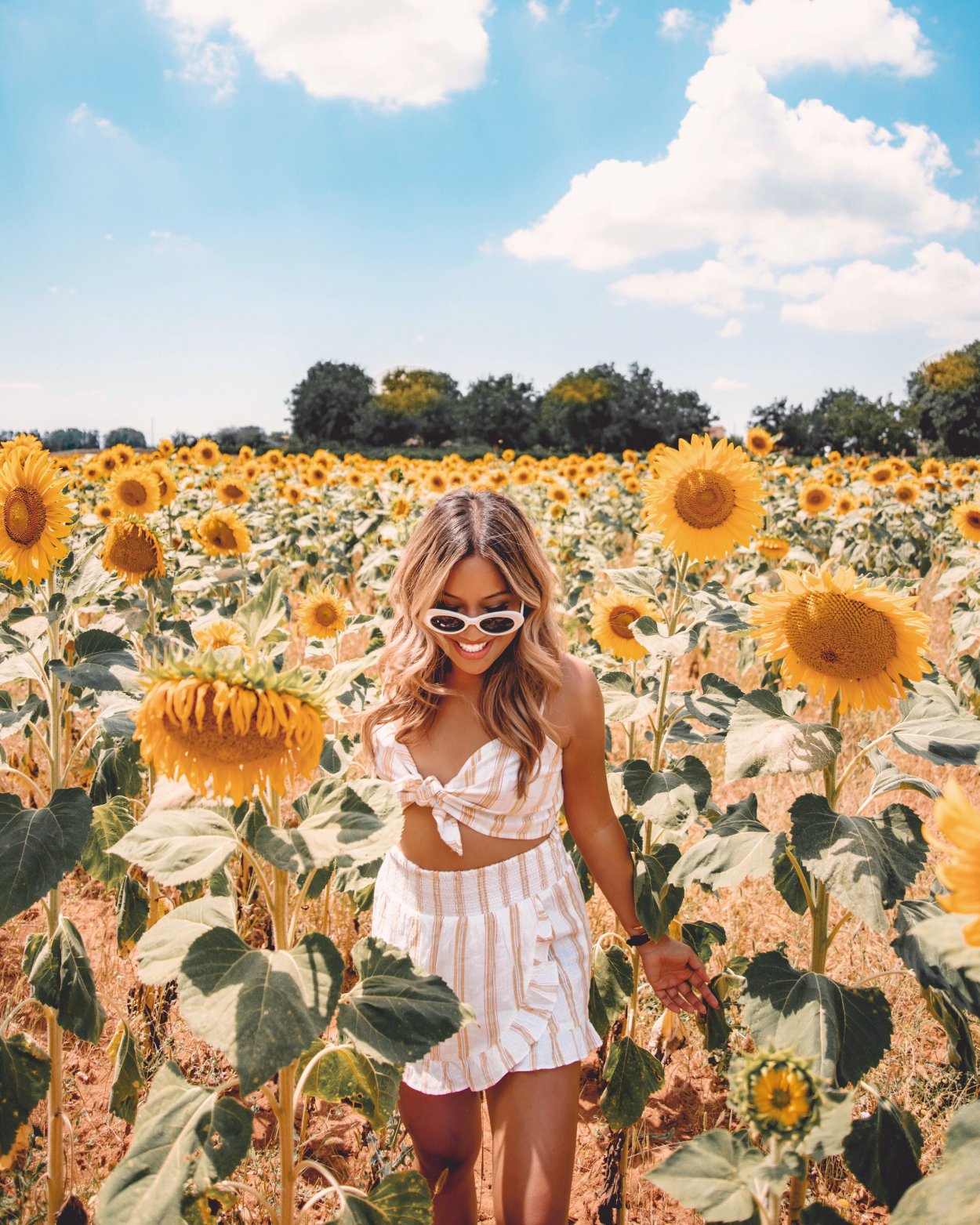 Подсолнухи "радость жизни"