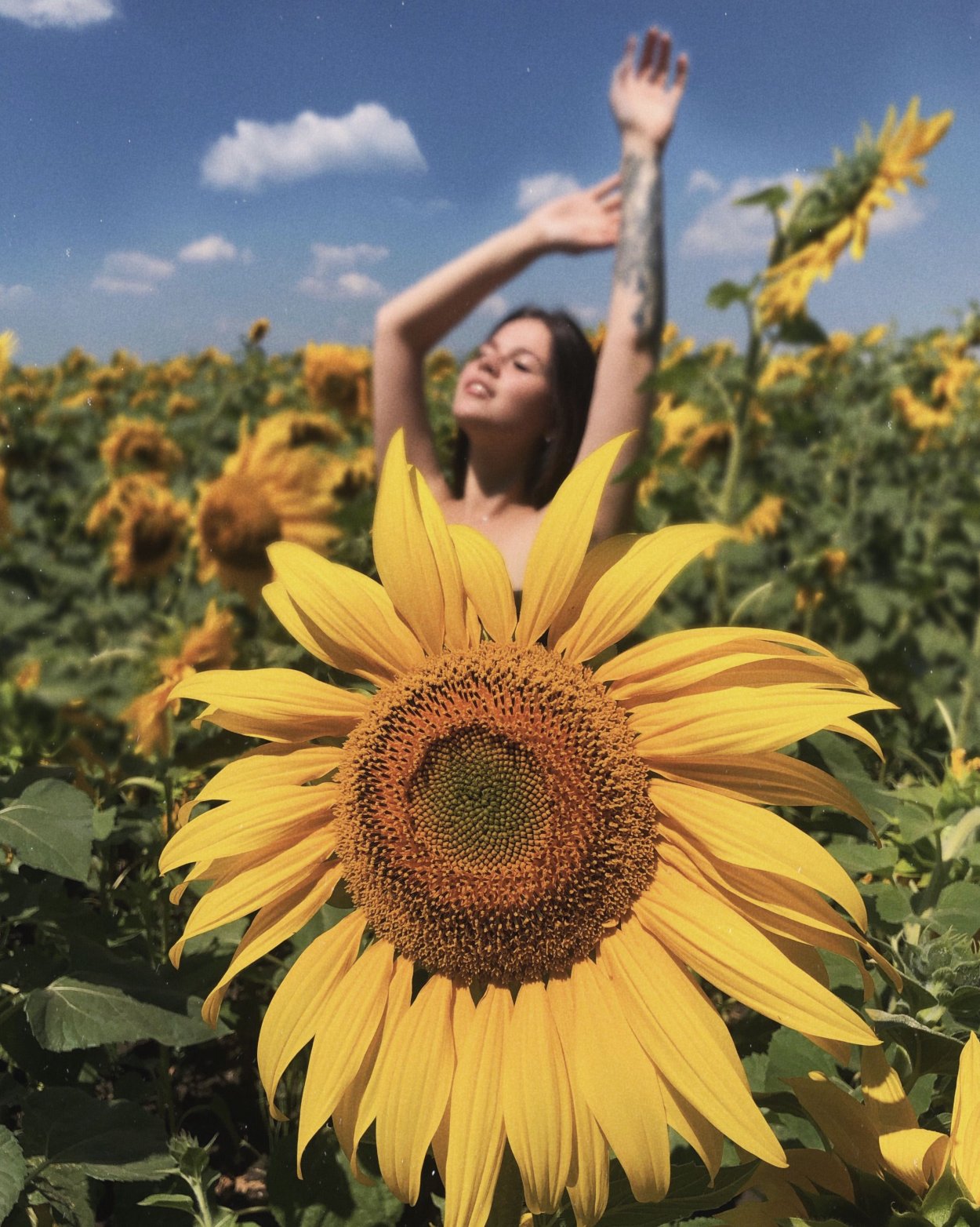 Блондинка в подсолнухах