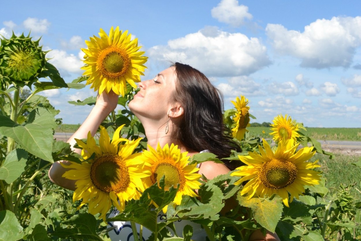 Королева Подсолнухи