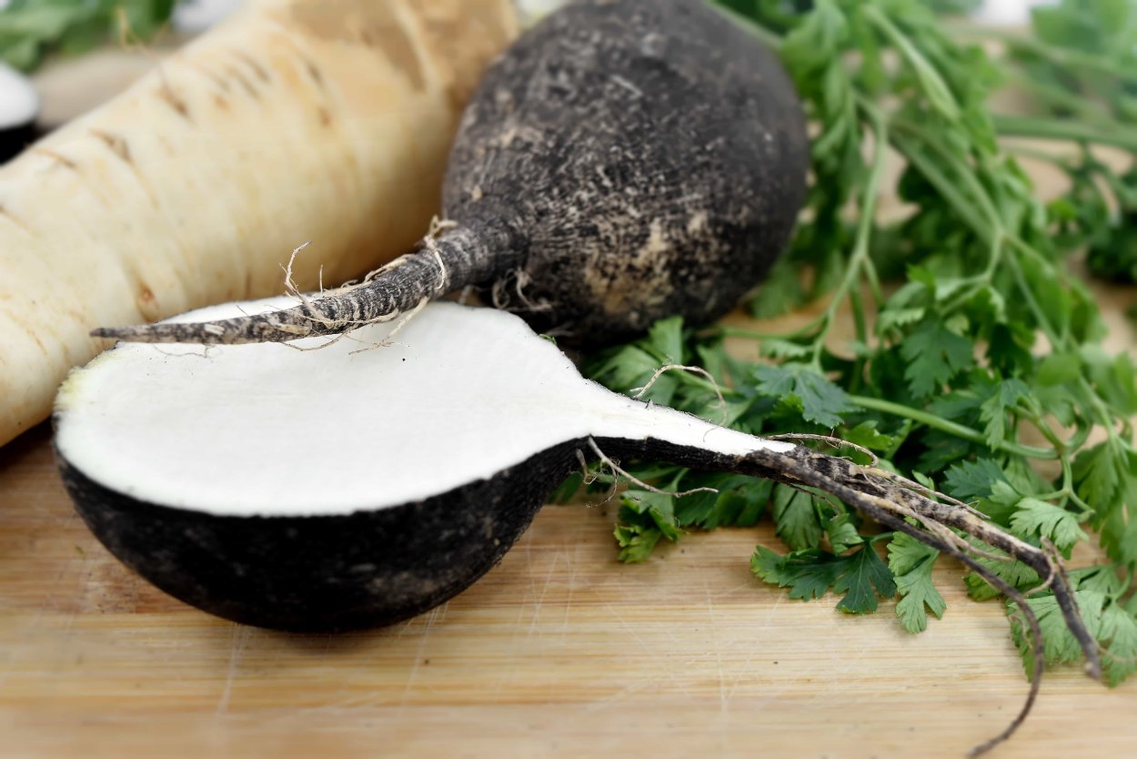 Таннуджи редька