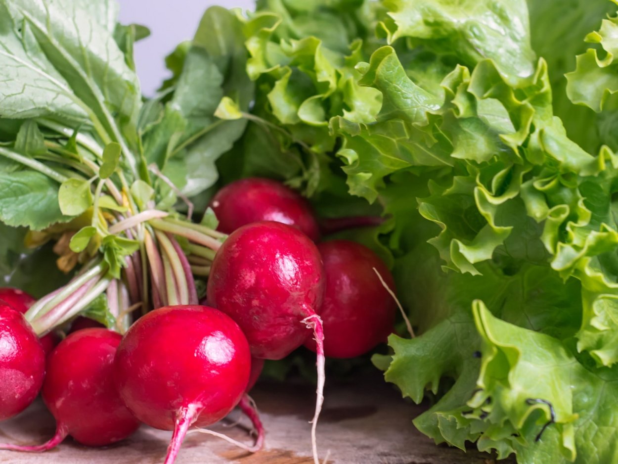 Редиска и зелень