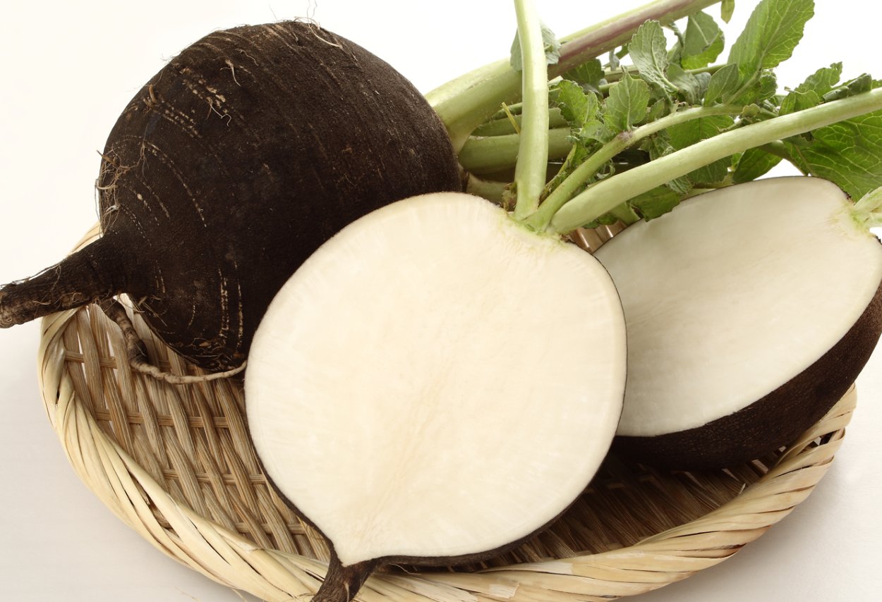 Репа турнепс брюква