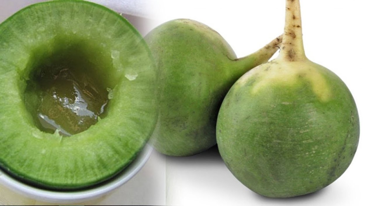 Редис Прометей f1