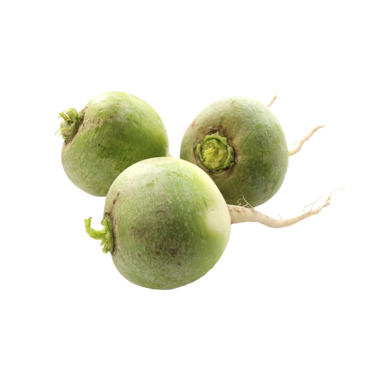 Редька Пуса Джамуни