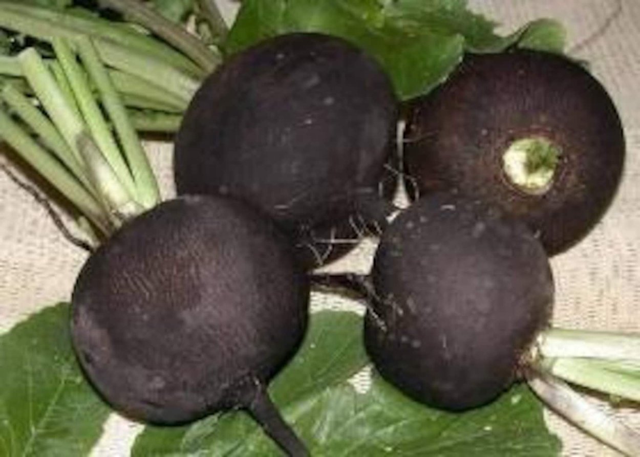 Редька в корзине