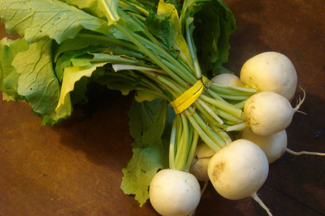 Турнепс (Brassica Rapa)