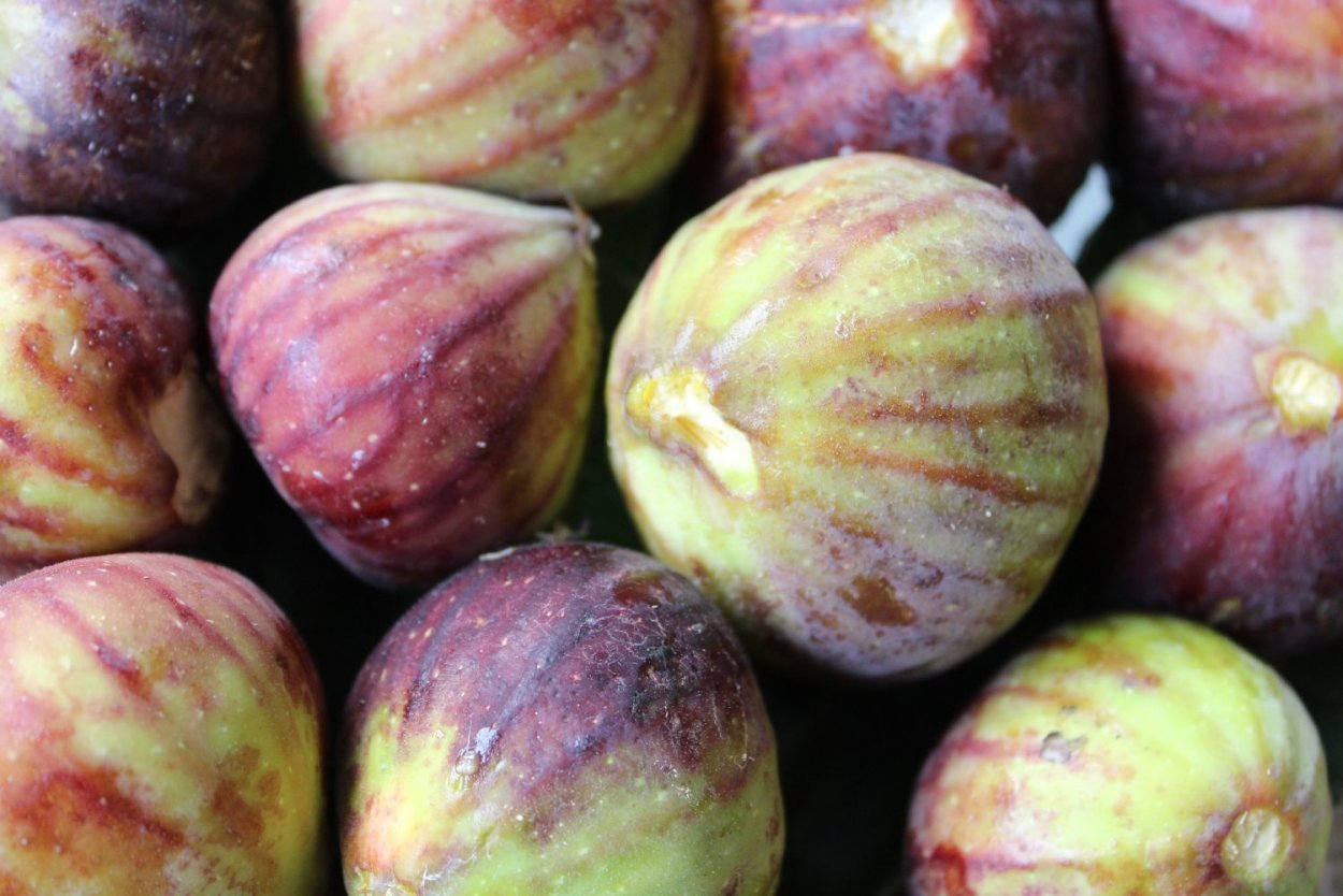 Инжирная слива