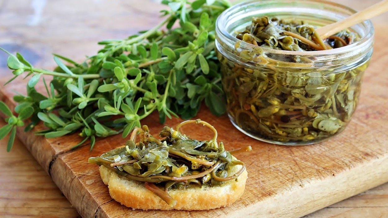 Портулак(дандур армянский)