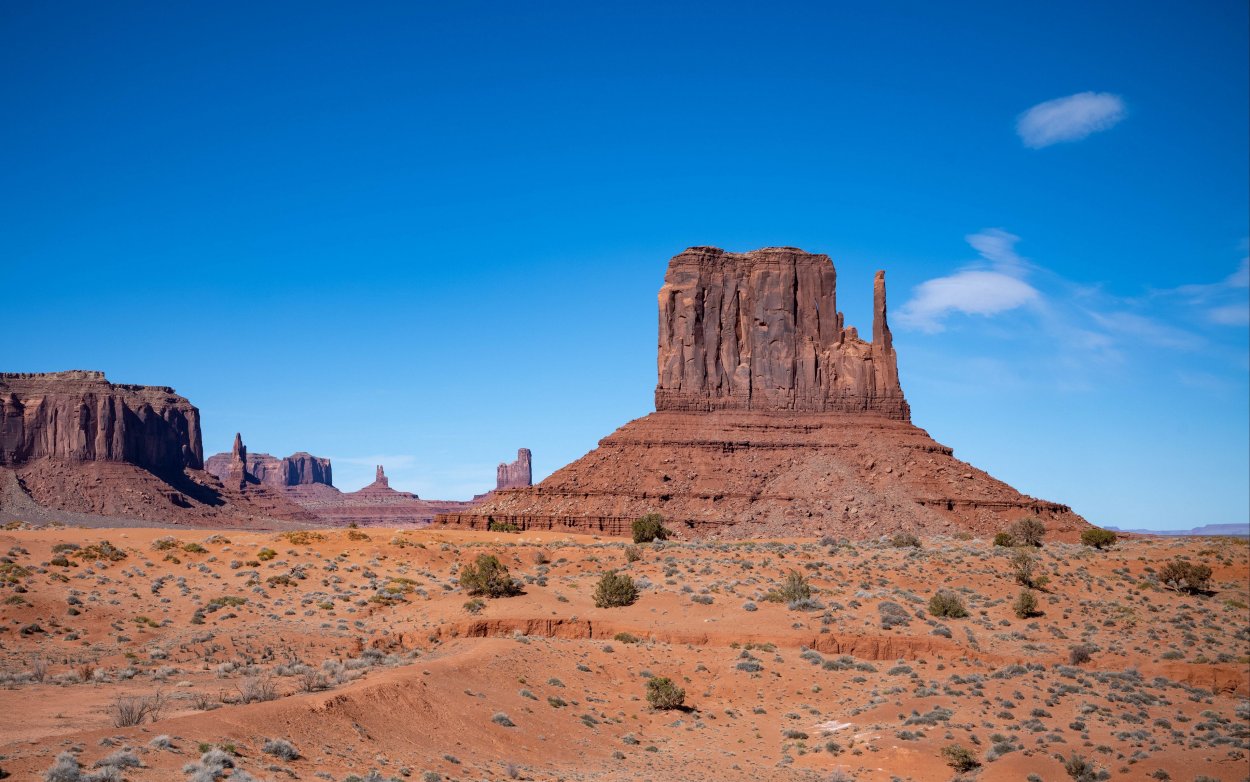 Оазис в Аравийской пустыне