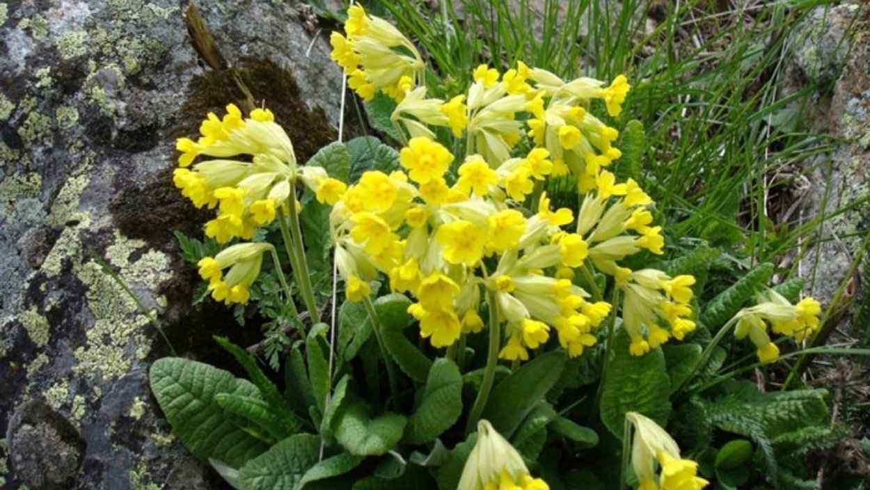 Стандартный аватар