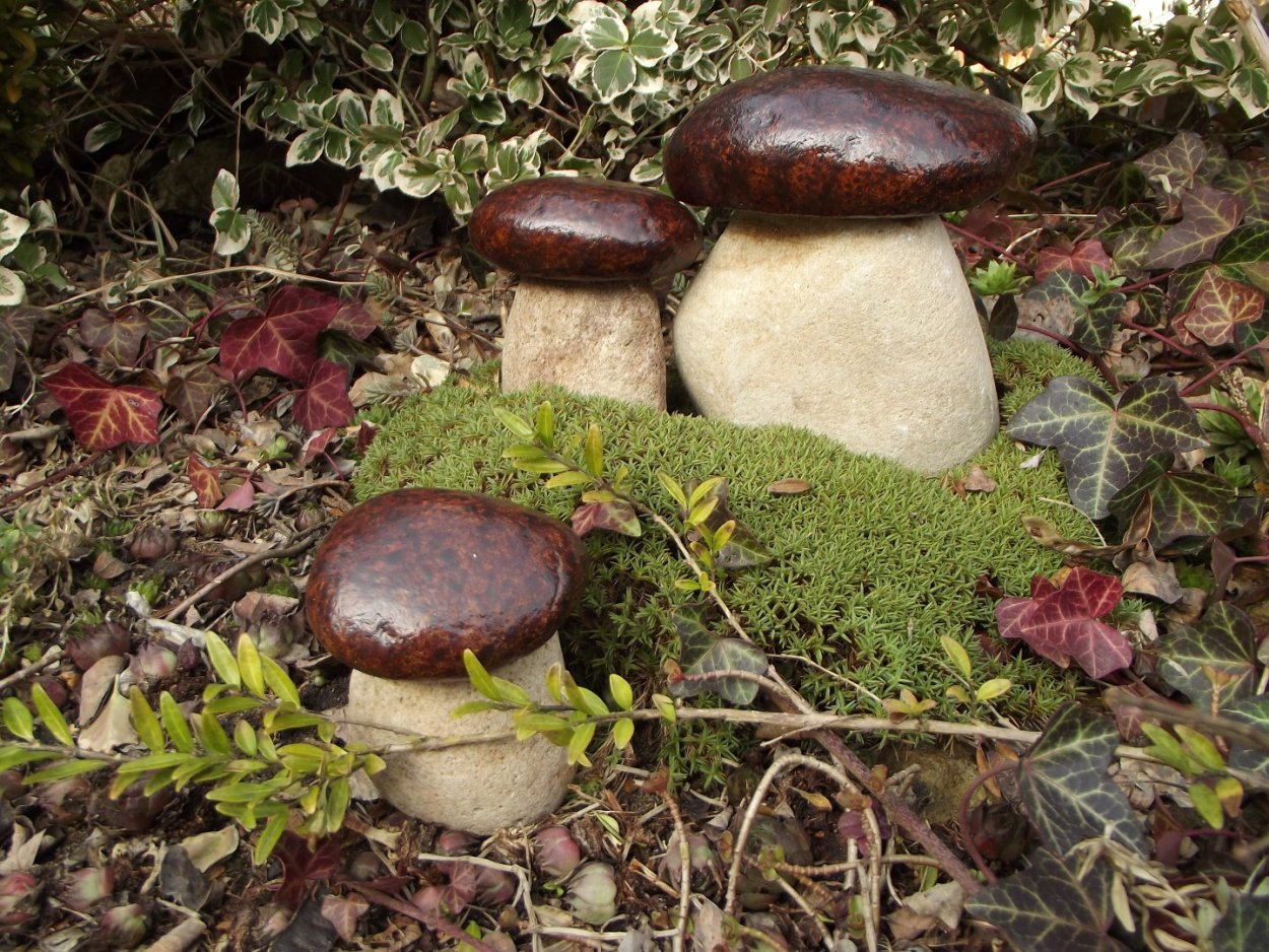 Болетинус болотный