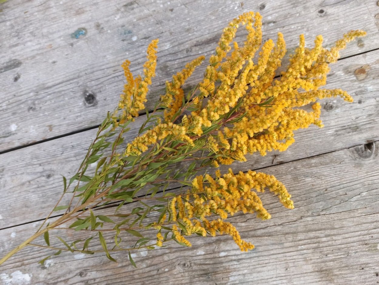 Букет с золотарником