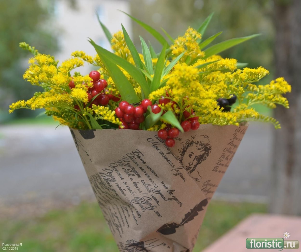 Корень золотарника