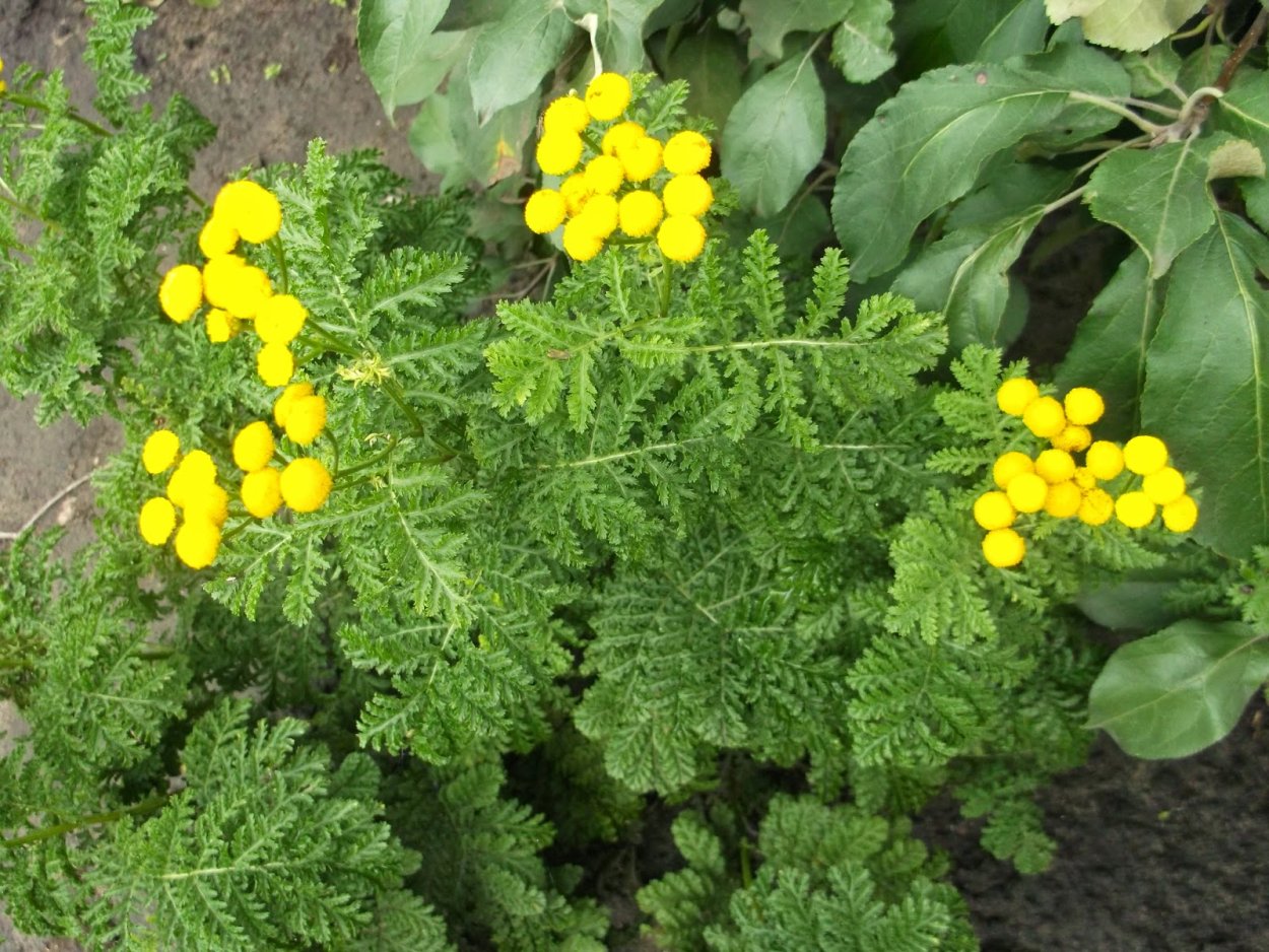 Крючки Gamakatsu Hook LS-2210b