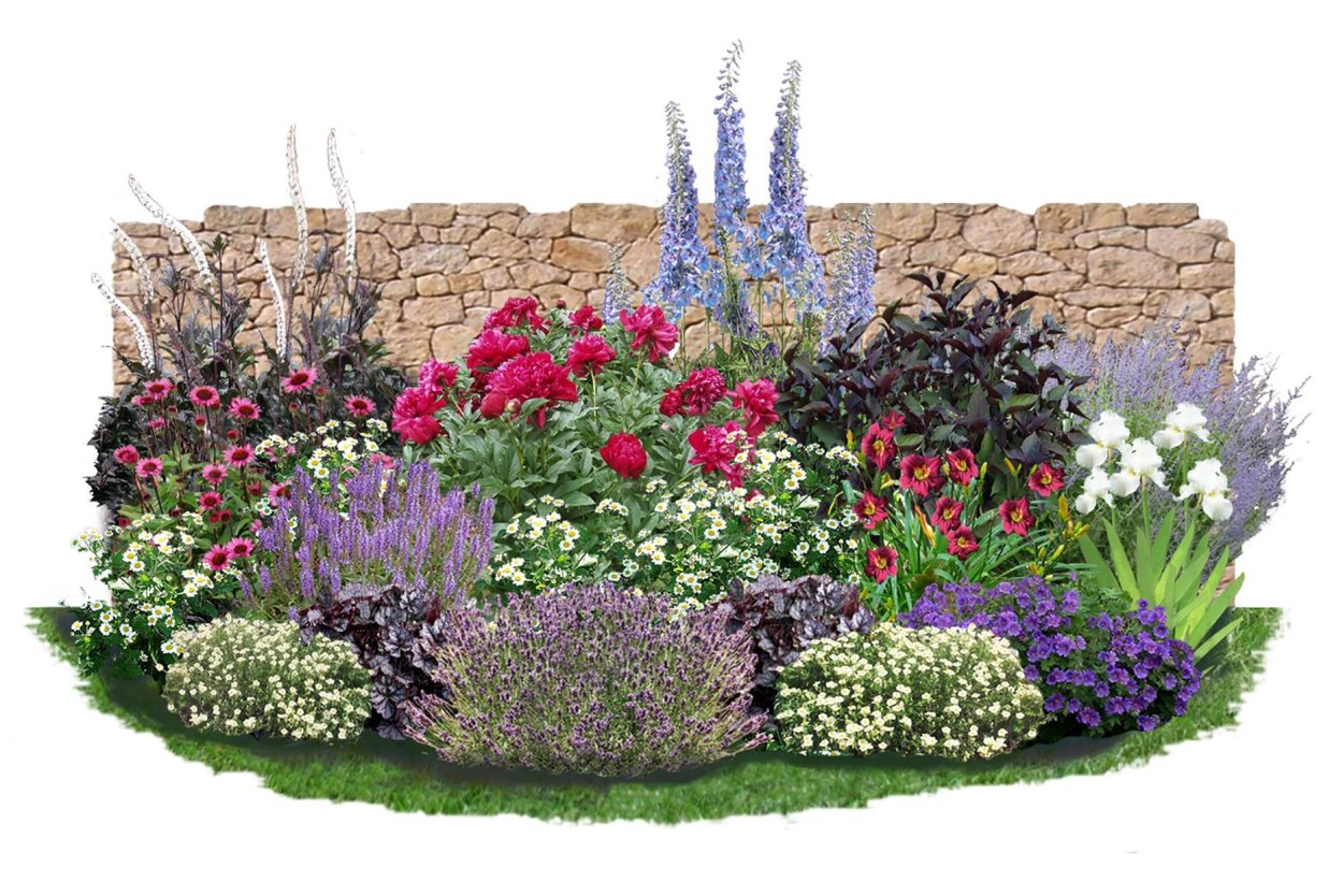 Люпины многолетние миксбордер