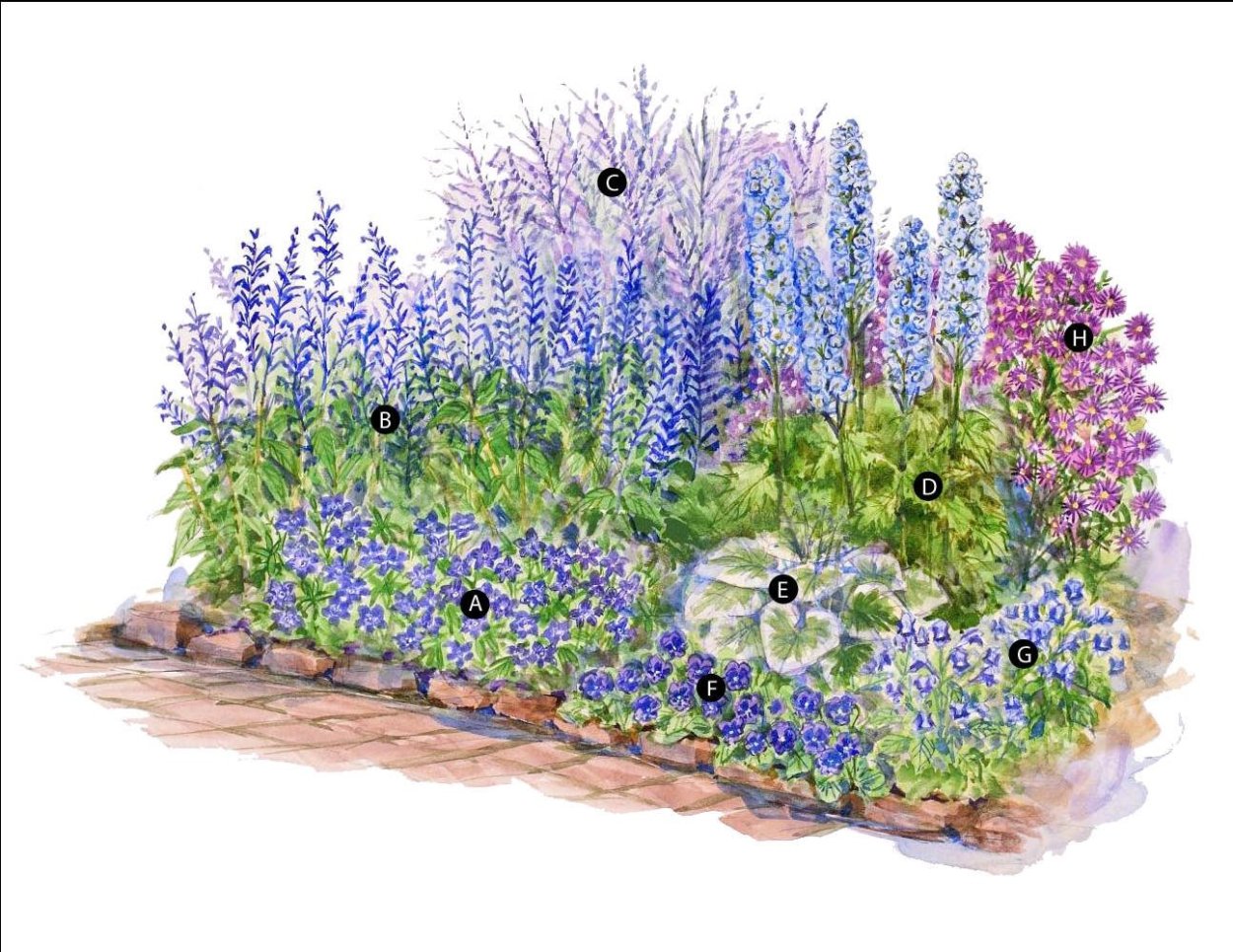 Клумба Ирис Люпин пион